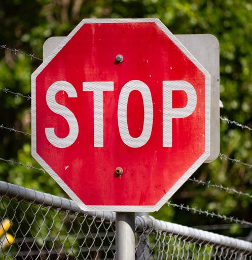 A selective focus shot of a stop sign in front of a forest entrance