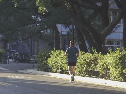 A young male student jogging in a park on a sunny day