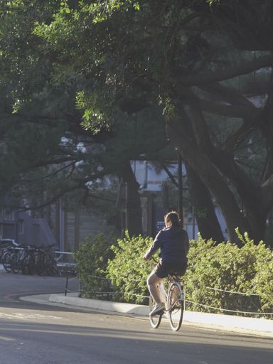 A female student riding her bike by a beautiful spring park