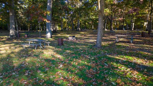 The view of empty benches with tables under trees in the park.