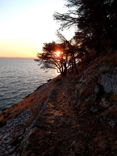 A vertical shot of a beautiful sunset over the rocky shore