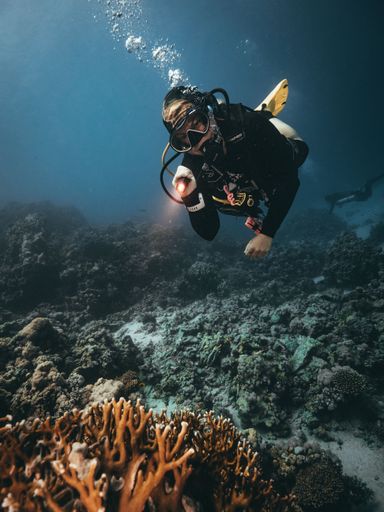 A vertical shot from the depths of the Red Sea and a scuba diver exploring the deep dive site