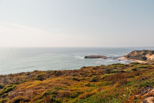The shore covered in greenery surrounded by the sea under a cloudy sky and sunlight