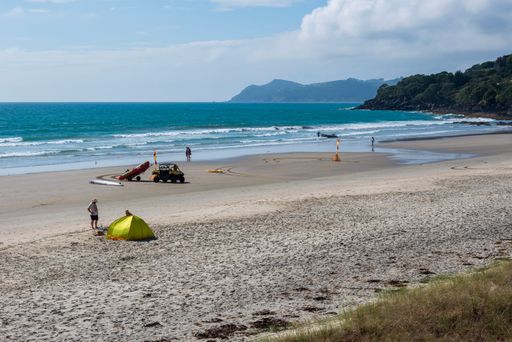 A few people surfing, fishing, camping, and lifeguards patrolling on the Waipu Cove beach in Northland, New Zealand, in autumn, during the sunny day