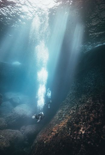 A vertical shot of scuba divers swimming underwater and exploring a coral reef in Malta