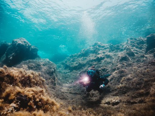 A scuba diver surrounded by corals exploring the underwater reefs with a flashlight