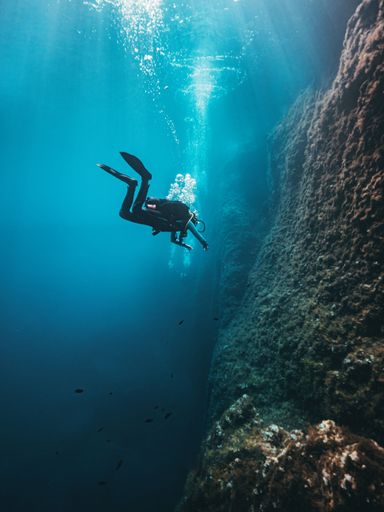 A vertical shot of a scuba diver exploring underwater reefs near the rock covered with seaweed