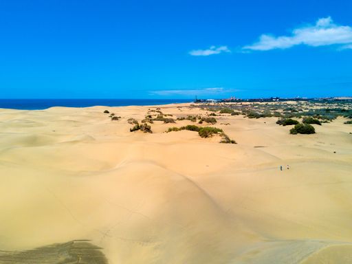 An aerial view of the beautiful desert by the Atlantic ocean