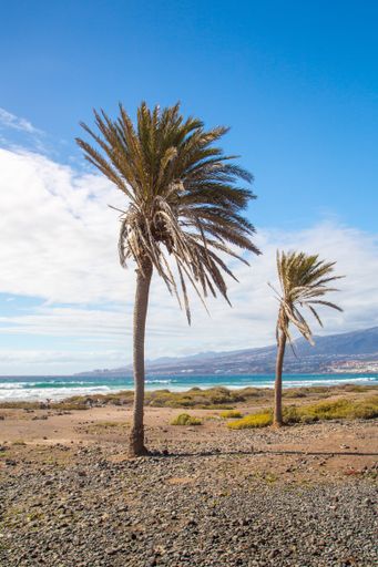 A vertical shot of the picturesque Atlantic ocean shore on Tenerife island