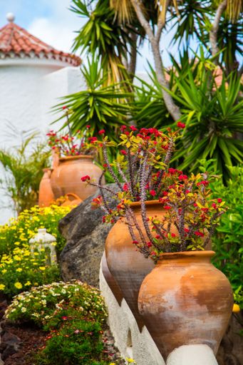 A vertical shot of flowerpots