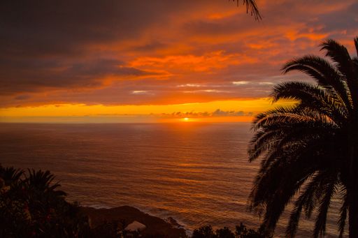 A breathtaking view of a stunning orange sunset over the sea and palms of Tenerife island in Spain