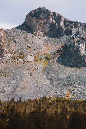 A vertical shot of the beautiful nature with rocky cliffs in the Yosemite National Park