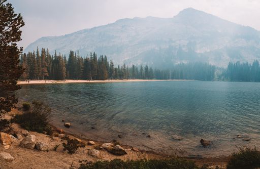 A beautiful shot of a calm lake in Yosemite National Park in California, USA with a misty background