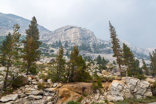 A beautiful scenery of green trees and rocky cliffs in the Yosemite National Park