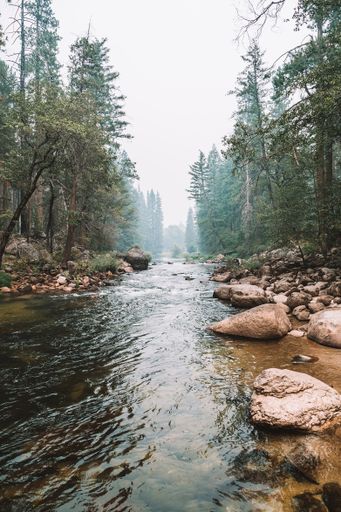 A vertical shot of a beautiful river surrounded by rocks and greenery in Yosemite National Park