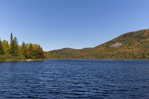 An aerial view of lake surrounded by dense trees