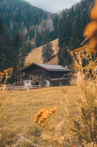 A beautiful shot of cabins in the forest