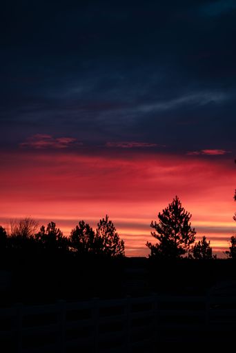 A silhouette of trees and cloudy sky sunrise in small town Colorado