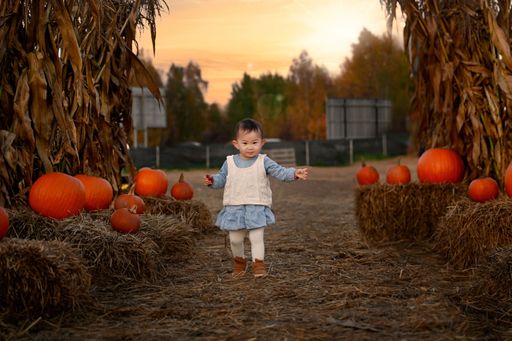 The cute child walking in the park between the pumpkin decoration