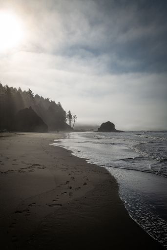 A vertical shot of the sandy shore and sea with silhouettes of cliffs and trees in the background.