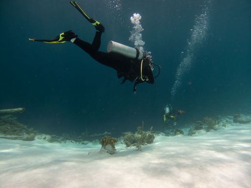 A scuba diver underwater exploring the ocean