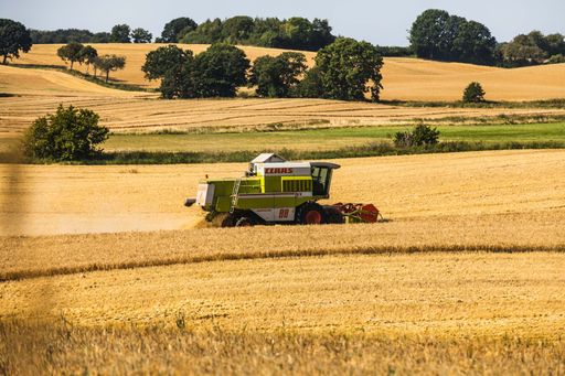 The old Claas combine harvester in the middle of an agricultural field