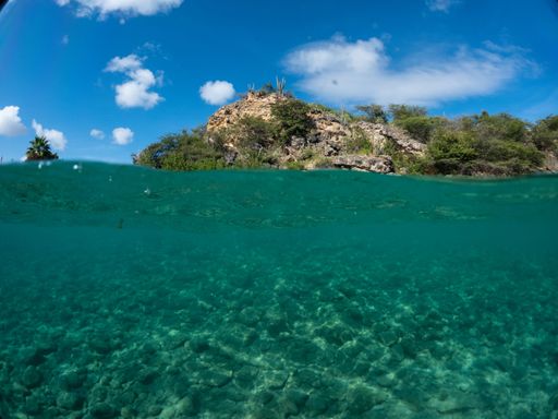 A closeup view of crystal clear waters