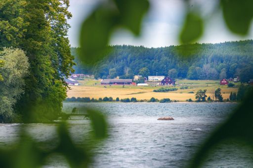 A beautiful view of Motala, Sweden, photographed through foliage and water between camera and landscape