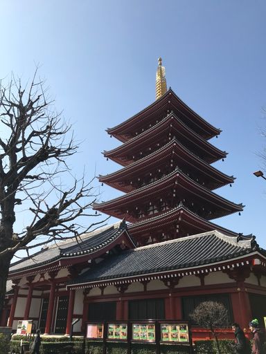 A vertical shot of a Japanese temple in Tokyo