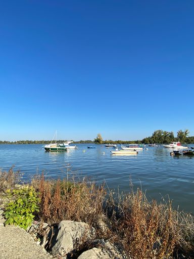 A vertical shot of a blue sea with ships inside and grasses around
