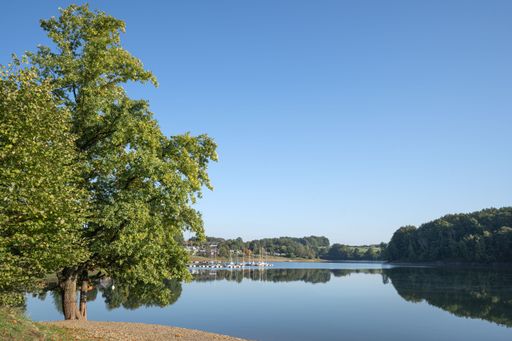 The Bever lake, close to Huckeswagen on an early morning during autumn, Bergisches Land, Germany