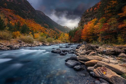 A breathtaking shot of a river in the forest with colorful trees under the cloudy sky in autumn
