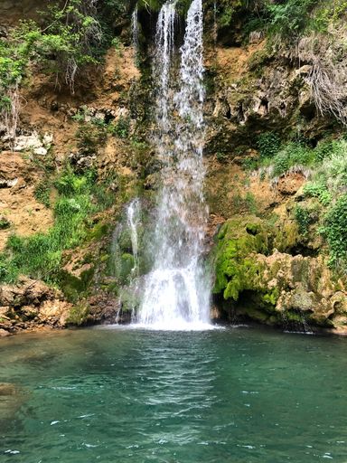 A vertical shot of a waterfall flowing down the rocks in a forest surrounded by wild nature