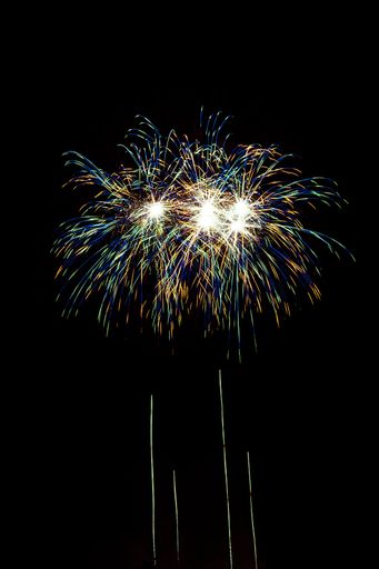 A scenic vertical shot of the colorful fireworks against the night sky background