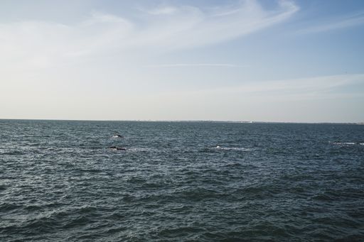 A closeup of a calm sea on a sunny day