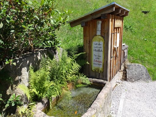 An outdoor outhouse is situated near a bubbling fountain, surrounded by lush green foliage