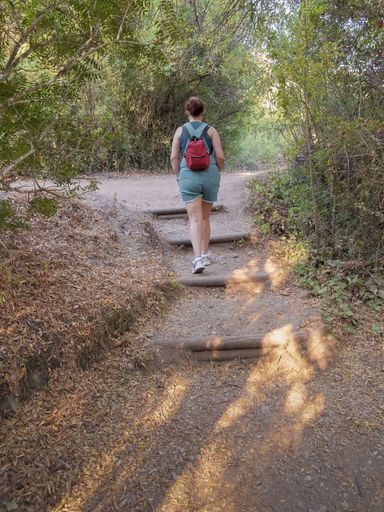 Stock photo of a middle-aged redheaded woman in denim shorts and a red backpack climbing the steps of a beautiful forest road. Back view