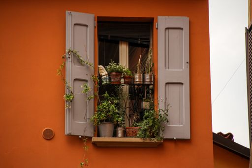 The open wooden window panels with potted decorative plants on an orange house wall