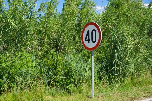 The speed limit 40 road sign against the background of the green vegetation.