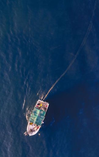A high-angle shot of a boat in the blue water with a fisherman laying his nets.