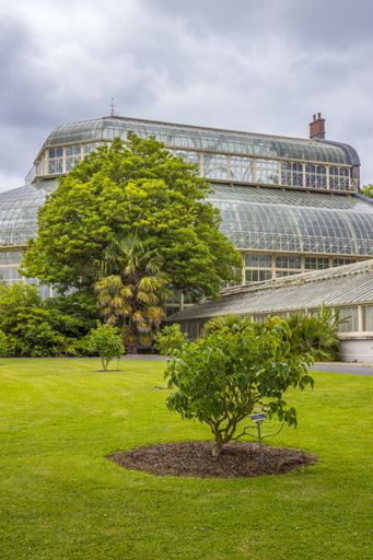 Green meadows, plants and plants and a greenhouse in National Botanic Gardens, vertical shot