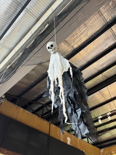 A vertical shot of a skeleton Halloween decoration hanging from a ceiling
