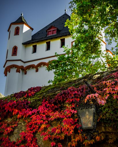A low-angle vertical shot of Electoral Castle in Eltville, Hesse, Germany surrounded by walls covered in vine foliage facade
