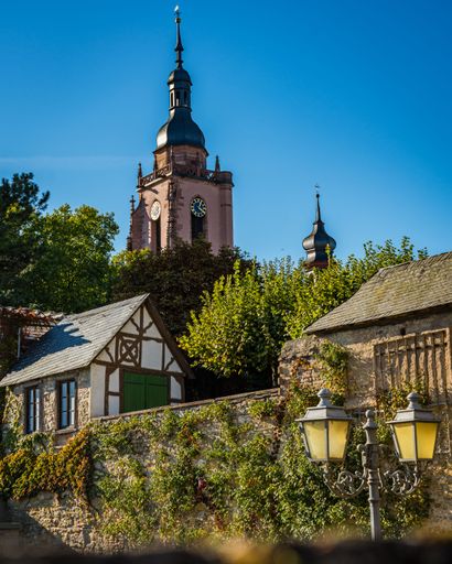 A vertical shot of a clock tower in the middle of a residential neighborhood