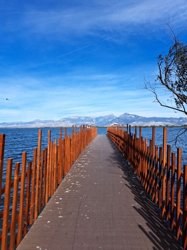 A vertical shot of a pier over the lake Skadar