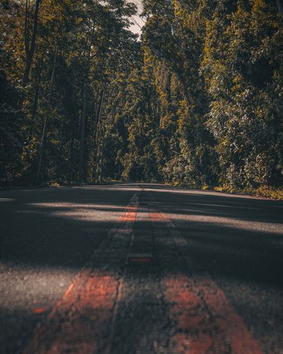 A vertical shot of the road in SBMA forest of Philippines