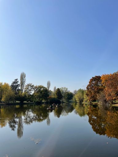 A vertical shot of a pond surrounded by beautiful trees on a bright sunny day