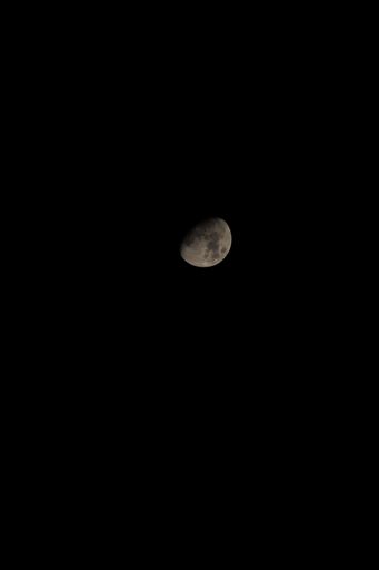 A vertical shot of the moon against a dark sky