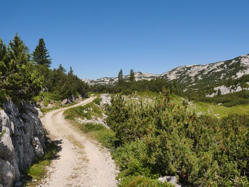 A trail in Karst plateau in the Dachstein group near lake Hallstatt in Salzkammergut, Austria