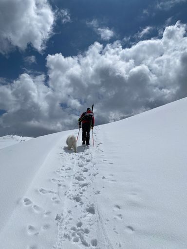 A vertical shot of a a man with his fluffy dog climbs a snow-covered mountain